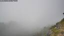 ./images/calvert/foggy-cove/20260813/foggy-cove20260813_172002M.jpg