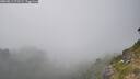 ./images/calvert/foggy-cove/20260813/foggy-cove20260813_172501M.jpg