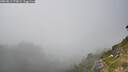 ./images/calvert/foggy-cove/20260813/foggy-cove20260813_173002M.jpg
