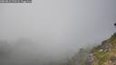 ./images/calvert/foggy-cove/20260813/foggy-cove20260813_173501M.jpg
