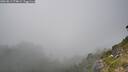./images/calvert/foggy-cove/20260813/foggy-cove20260813_174002M.jpg