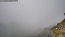 ./images/calvert/foggy-cove/20260813/foggy-cove20260813_174501M.jpg