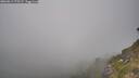 ./images/calvert/foggy-cove/20260813/foggy-cove20260813_175501M.jpg