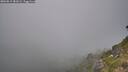 ./images/calvert/foggy-cove/20260813/foggy-cove20260813_181001M.jpg