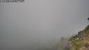 ./images/calvert/foggy-cove/20260813/foggy-cove20260813_181502M.jpg