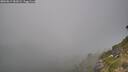 ./images/calvert/foggy-cove/20260813/foggy-cove20260813_182002M.jpg