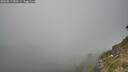 ./images/calvert/foggy-cove/20260813/foggy-cove20260813_182501M.jpg