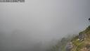 ./images/calvert/foggy-cove/20260813/foggy-cove20260813_183001M.jpg
