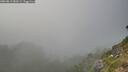 ./images/calvert/foggy-cove/20260813/foggy-cove20260813_183501M.jpg