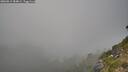 ./images/calvert/foggy-cove/20260813/foggy-cove20260813_184001M.jpg