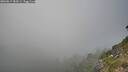 ./images/calvert/foggy-cove/20260813/foggy-cove20260813_184501M.jpg