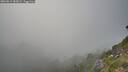 ./images/calvert/foggy-cove/20260813/foggy-cove20260813_185001M.jpg