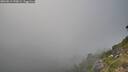 ./images/calvert/foggy-cove/20260813/foggy-cove20260813_190002M.jpg