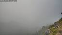./images/calvert/foggy-cove/20260813/foggy-cove20260813_190501M.jpg
