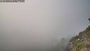 ./images/calvert/foggy-cove/20260813/foggy-cove20260813_191002M.jpg