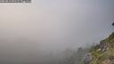 ./images/calvert/foggy-cove/20260813/foggy-cove20260813_191502M.jpg