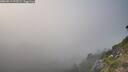 ./images/calvert/foggy-cove/20260813/foggy-cove20260813_192502M.jpg