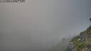 ./images/calvert/foggy-cove/20260813/foggy-cove20260813_194001M.jpg