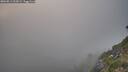 ./images/calvert/foggy-cove/20260813/foggy-cove20260813_202002M.jpg