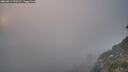 ./images/calvert/foggy-cove/20260813/foggy-cove20260813_202501M.jpg