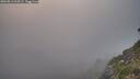 ./images/calvert/foggy-cove/20260813/foggy-cove20260813_204501M.jpg