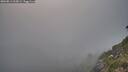 ./images/calvert/foggy-cove/20260813/foggy-cove20260813_205001M.jpg