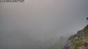 ./images/calvert/foggy-cove/20260813/foggy-cove20260813_210002M.jpg
