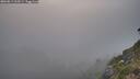 ./images/calvert/foggy-cove/20260813/foggy-cove20260813_210501M.jpg