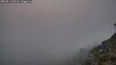 ./images/calvert/foggy-cove/20260813/foggy-cove20260813_212501M.jpg