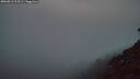 ./images/calvert/foggy-cove/20260813/foggy-cove20260813_213501M.jpg