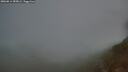 ./images/calvert/foggy-cove/20260814/foggy-cove20260814_055002M.jpg