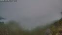 ./images/calvert/foggy-cove/20260814/foggy-cove20260814_055501M.jpg