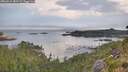 ./images/calvert/foggy-cove/20260814/foggy-cove20260814_082501M.jpg