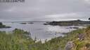 ./images/calvert/foggy-cove/20260814/foggy-cove20260814_084501M.jpg