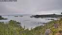 ./images/calvert/foggy-cove/20260814/foggy-cove20260814_085001M.jpg