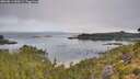 ./images/calvert/foggy-cove/20260814/foggy-cove20260814_090501M.jpg