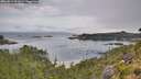 ./images/calvert/foggy-cove/20260814/foggy-cove20260814_091001M.jpg