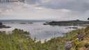 ./images/calvert/foggy-cove/20260814/foggy-cove20260814_092501M.jpg