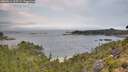 ./images/calvert/foggy-cove/20260814/foggy-cove20260814_103501M.jpg