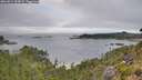 ./images/calvert/foggy-cove/20260814/foggy-cove20260814_104501M.jpg