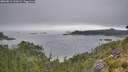 ./images/calvert/foggy-cove/20260814/foggy-cove20260814_110001M.jpg