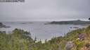 ./images/calvert/foggy-cove/20260814/foggy-cove20260814_110502M.jpg