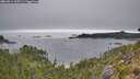 ./images/calvert/foggy-cove/20260814/foggy-cove20260814_113501M.jpg