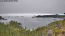 ./images/calvert/foggy-cove/20260814/foggy-cove20260814_115001M.jpg