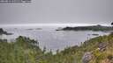 ./images/calvert/foggy-cove/20260814/foggy-cove20260814_115501M.jpg