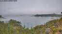 ./images/calvert/foggy-cove/20260814/foggy-cove20260814_133002M.jpg