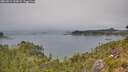 ./images/calvert/foggy-cove/20260814/foggy-cove20260814_134001M.jpg