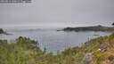 ./images/calvert/foggy-cove/20260814/foggy-cove20260814_135001M.jpg
