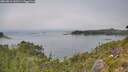 ./images/calvert/foggy-cove/20260814/foggy-cove20260814_142501M.jpg