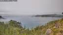 ./images/calvert/foggy-cove/20260814/foggy-cove20260814_155001M.jpg
